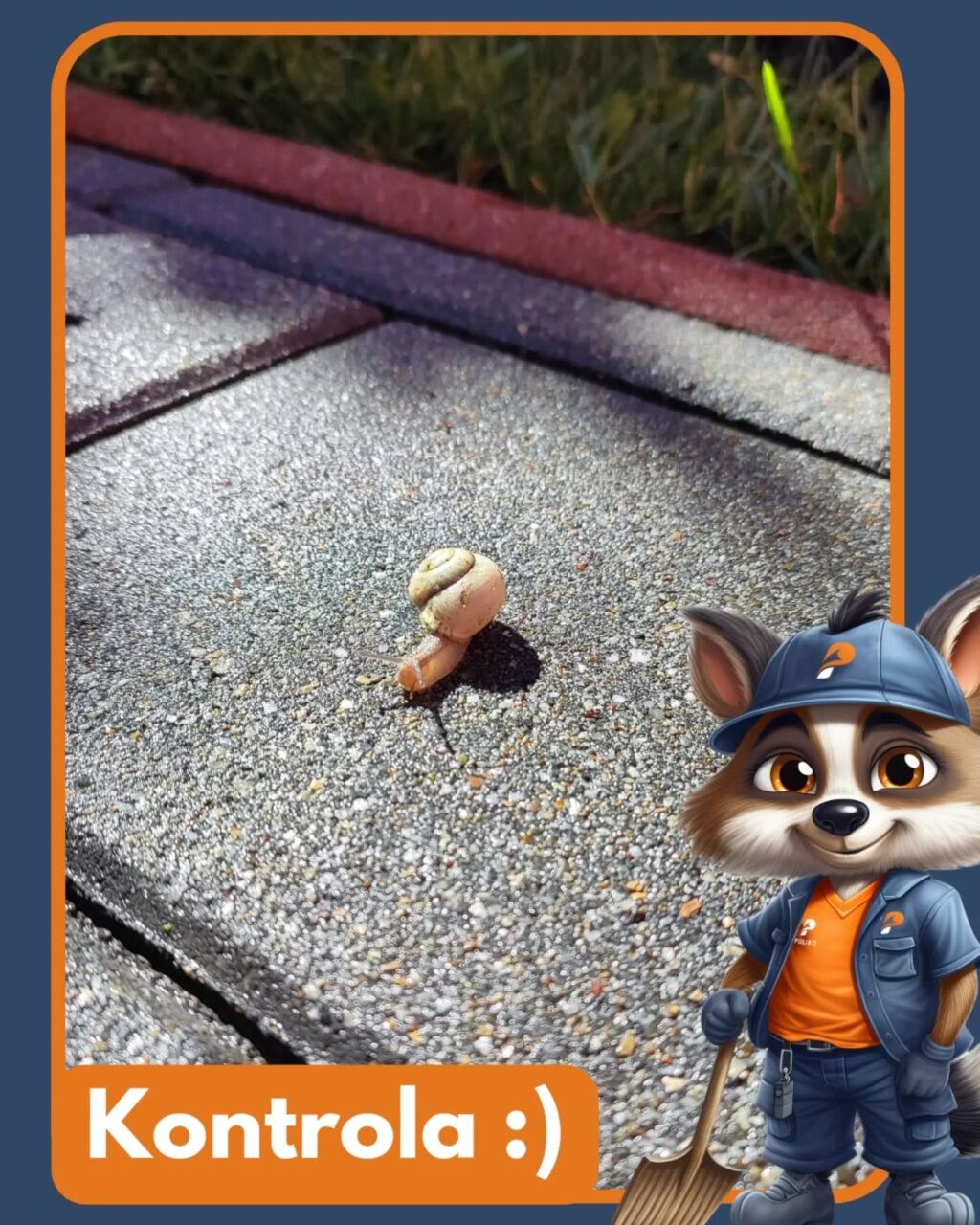 Instagram post from pulirosk. This post is in position 4.
