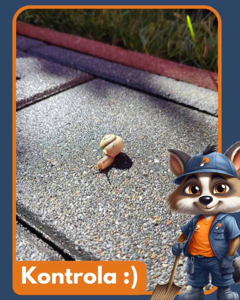 Instagram post from pulirosk. This post is in position 5.